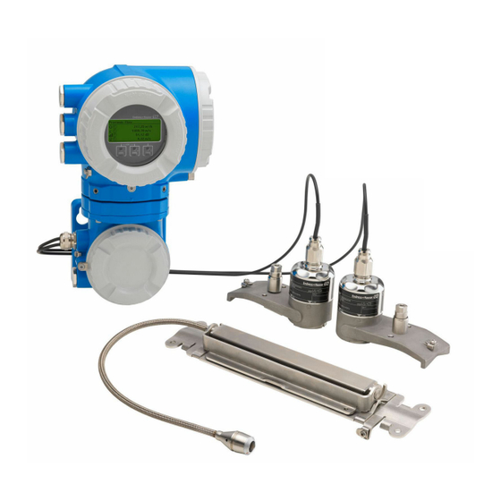 Endress+Hauser Proline Prosonic Flow P 500 Betriebsanleitung