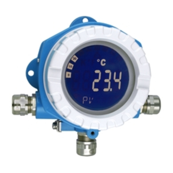 Endress+Hauser iTEMP TMT142 Kurzanleitung