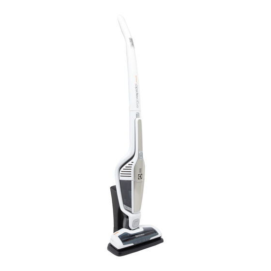 Electrolux Ergorapido 12V Bedienungsanleitung
