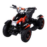 Actionbikes Mini Cobra 800W Bedienungsanleitung