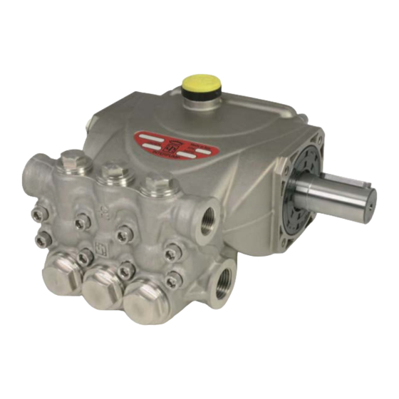 Interpump Group 53SS Serie Bedienungsanleitung