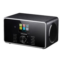 Grundig DTR 5000 2.0 BT DAB+ WEB Bedienungsanleitung