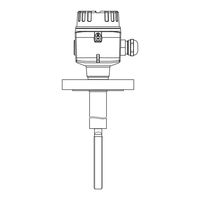 Endress+Hauser Soliphant M FTM50 Bedienungsanleitung
