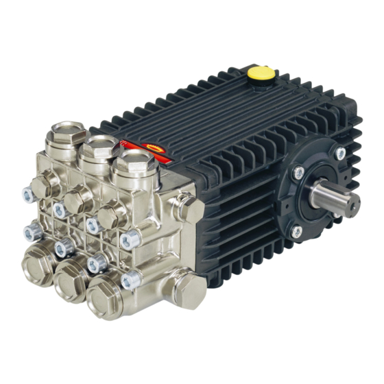 Interpump Group 66HT Serie Bedienungsanleitung