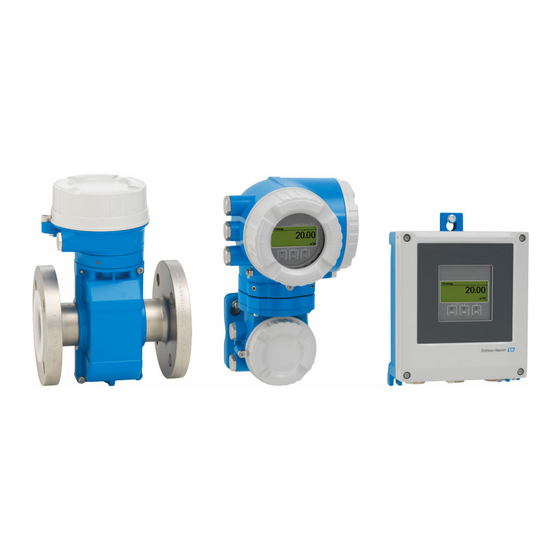 Endress+Hauser Proline Promag 500 Bedienungsanleitung