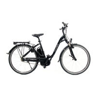 Biketec AG Flyer Gebrauchsanweisung