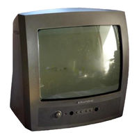 Grundig P 37-830 Multi/ICN Bedienungsanleitung