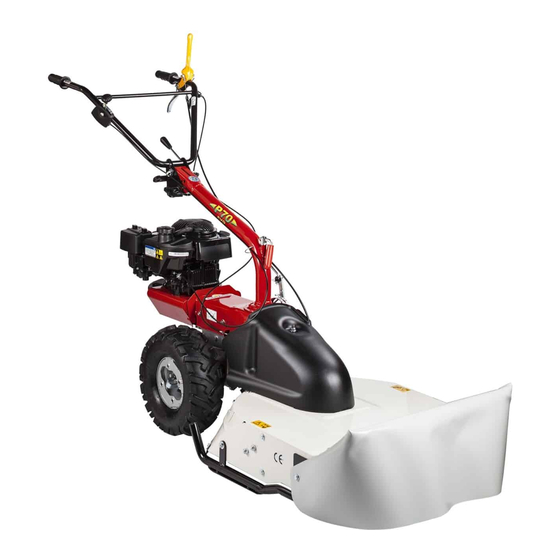 Eurosystems P70 Bedienungsanweisung