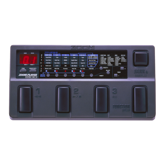 Zoom PLAYER 2100 Bedienungsanleitung