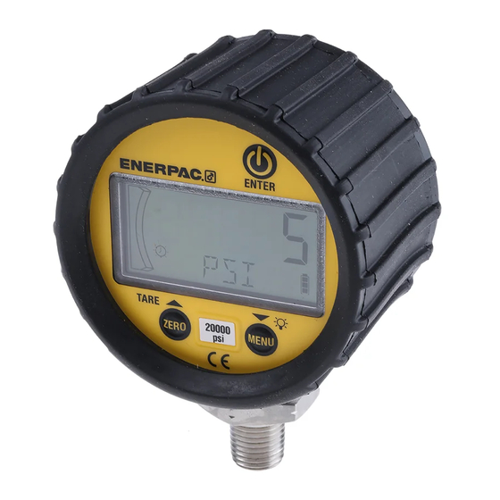 Enerpac DGR-2 Bedienungsanleitung