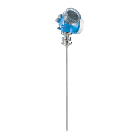 Endress+Hauser Levelflex FMP53 Einbauanleitung