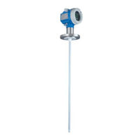 Endress+Hauser Levelflex M FMP41C Betriebsanleitung