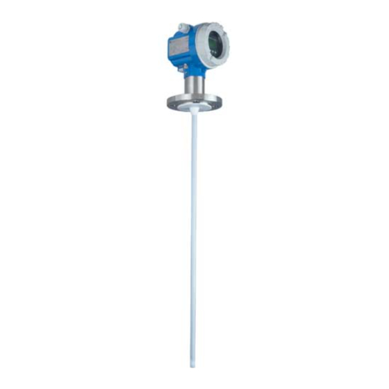 Endress+Hauser Levelflex M FMP41C Betriebsanleitung