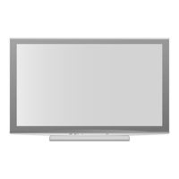 Panasonic TX-P65V10E Bedienungsanleitung