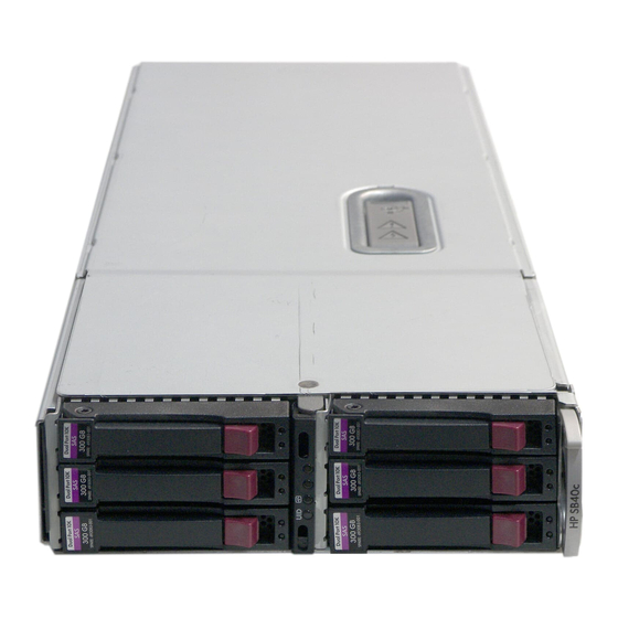 HP StorageWorks SB40c Benutzerhandbuch