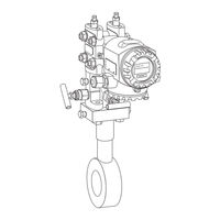 Endress+Hauser Deltatop DO65F Betriebsanleitung