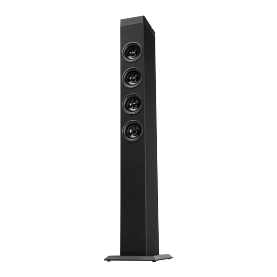 Bennett & Ross Maximus 2.1 Tower Speaker Bedienungsanleitung