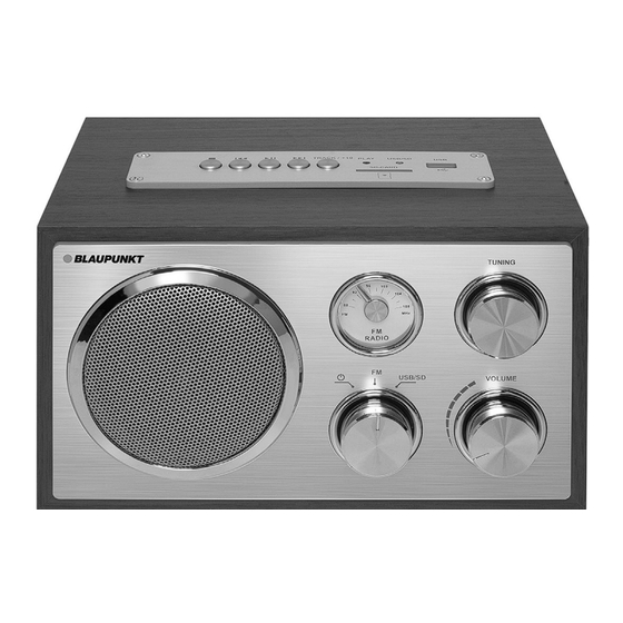 Blaupunkt RXN 19 Bedienungsanleitung