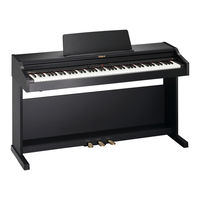Roland RP301 Bedienungsanleitung
