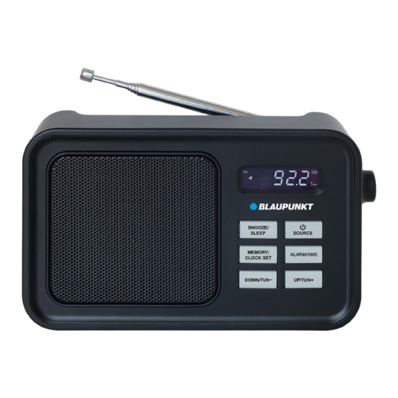 Blaupunkt RX 60 Bedienungsanleitung