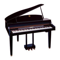 Yamaha Clavinova CLP-175 Bedienungsanleitung