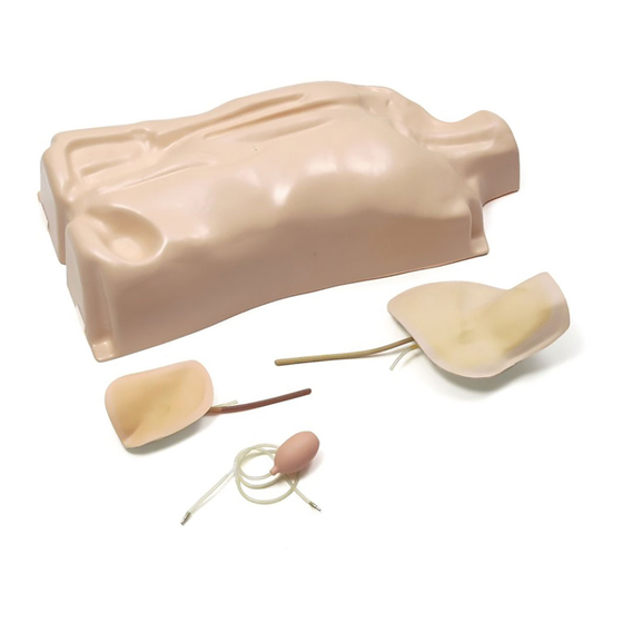 laerdal IV Torso Gebrauchsanweisung