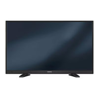 Grundig 48 VLE 565 BG Bedienungsanleitung