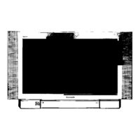 Panasonic TX-32PS12D Bedienungsanleitung