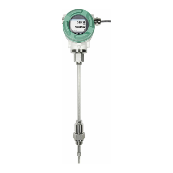 CS Instruments VA 550 Bedienungsanleitung