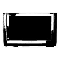 Panasonic TX-32PM11F/U Bedienungsanleitung