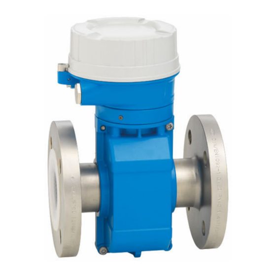Endress+Hauser Proline Promag P 500 Betriebsanleitung