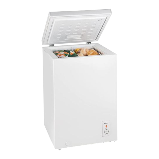 Klarstein Iceblokk 100 Handbuch