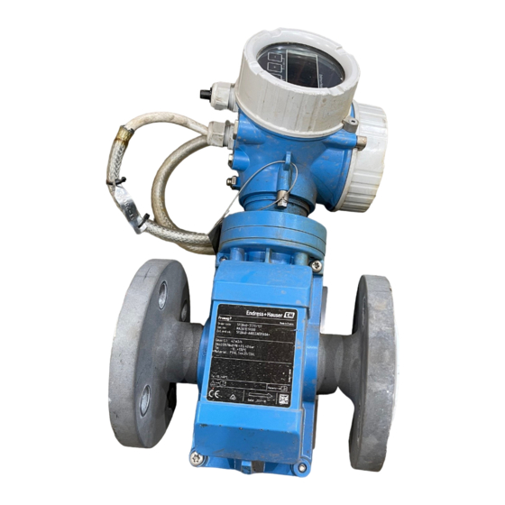 Endress+Hauser Proline Promag P 200 Technische Information