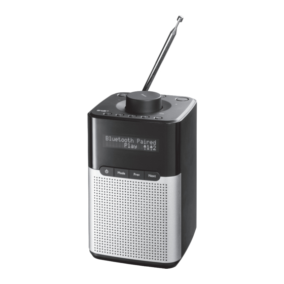 Intertronic RA-26 Bedienungsanleitung