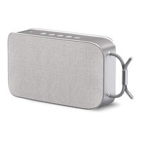 TechniSat BLUSPEAKER TWS XL Bedienungsanleitung