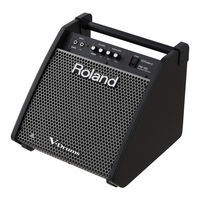 Roland PM-200 Bedienungsanleitung
