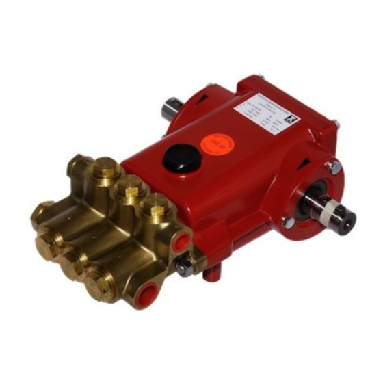Speck P31/25-220 Betriebsanleitung