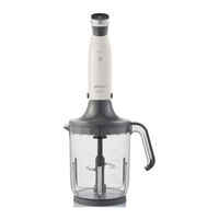 Arzum TECHNOART MAXI AR 1065 Gebrauchsanweisung