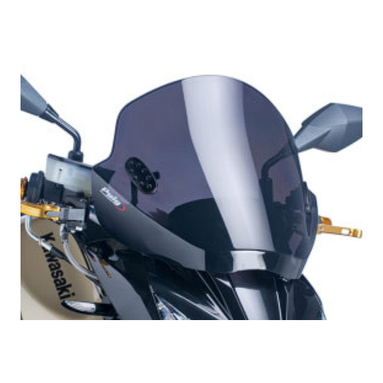 PUIG KIT RAFALE Montageanleitung