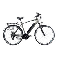 Adore ANCONA E-Bike Pedelec 117E Informationen Zum Gebrauch