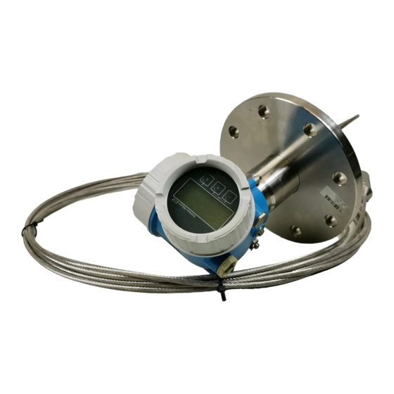 Endress+Hauser Levelflex FMP56 HART Betriebsanleitung