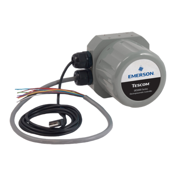 Emerson Tescom ER5000 Serie Benutzerhandbuch