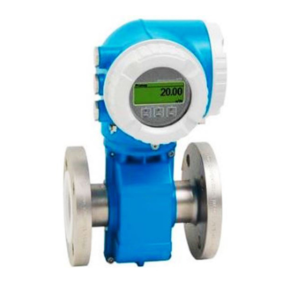 ENDRESS+HAUSER PROMAG 300 EINBAUANLEITUNG PdfHerunterladen ManualsLib