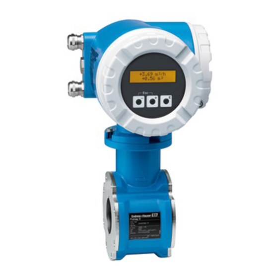 ENDRESS+HAUSER PROLINE PROMAG 50 PROFIBUS DP BETRIEBSANLEITUNG Pdf