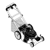 McCulloch M53-675DWAE Anleitungshandbuch