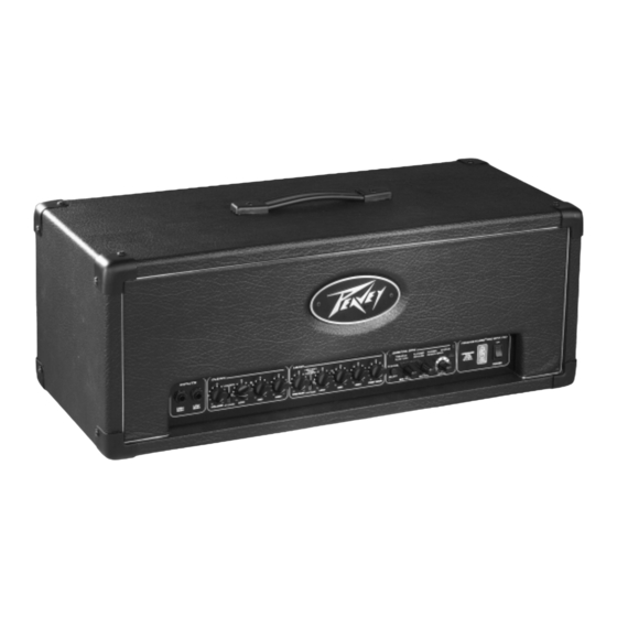 Peavey TransTube 100 EFX Handbuch