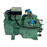 Bitzer 4JE-13Y Serie Wartungsanleitung