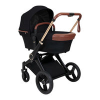 Ickle Bubba ASTON ROSE Handbuch