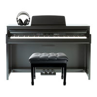 FAME DP-8600 Bedienungsanleitung