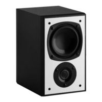 Nubert nuBox RS-300 Handbuch